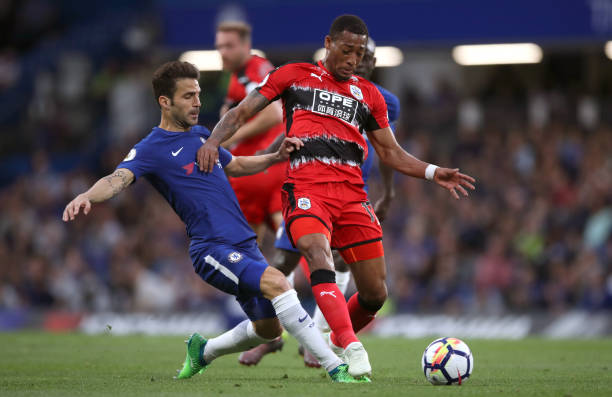 未来可期 未来可期