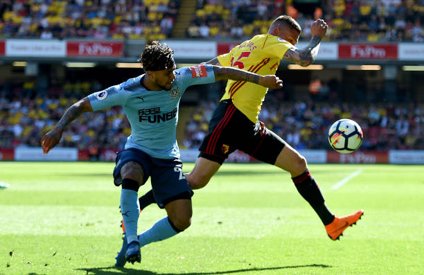 格和强劲的 格和强劲的